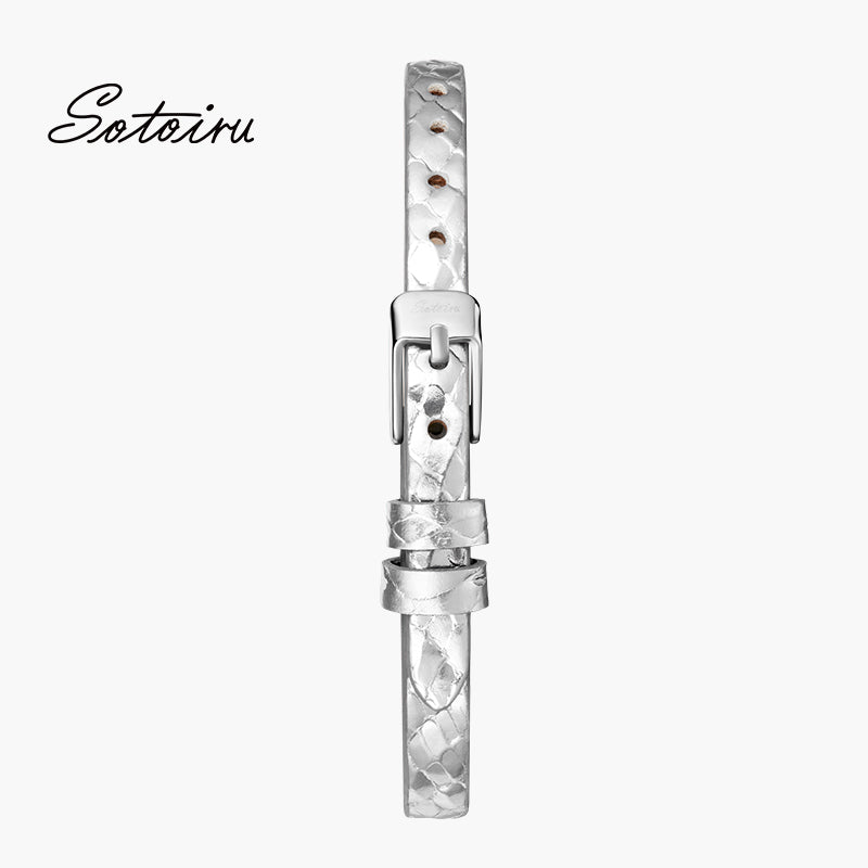 6mm Universal Watch Strap - Silver (Fits T2033W, T2013W, T2022W)