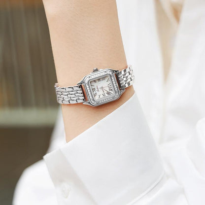 Sotoiru Quartz Watch Fashion Square Ziron Dial Watch for Formal Wear T3020