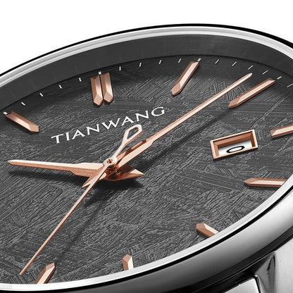 TIAN WANG Men Watch Automatic Mechanical Watches GS51319